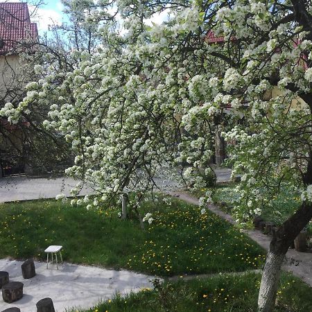 Квартира-Студія Шале Truskavets Exterior photo