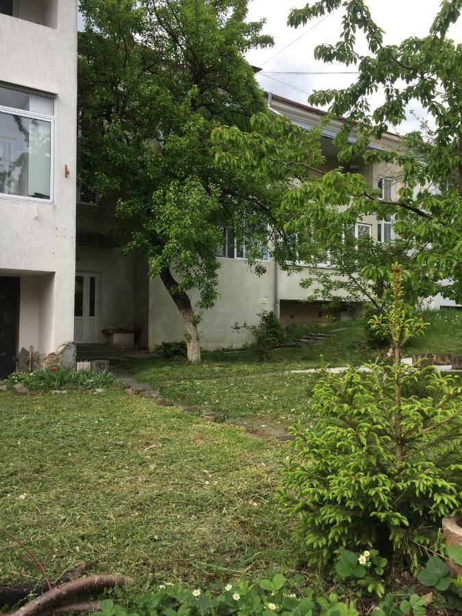 Квартира-Студія Шале Truskavets Exterior photo