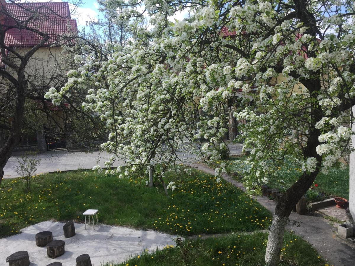 Квартира-Студія Шале Truskavets Exterior photo